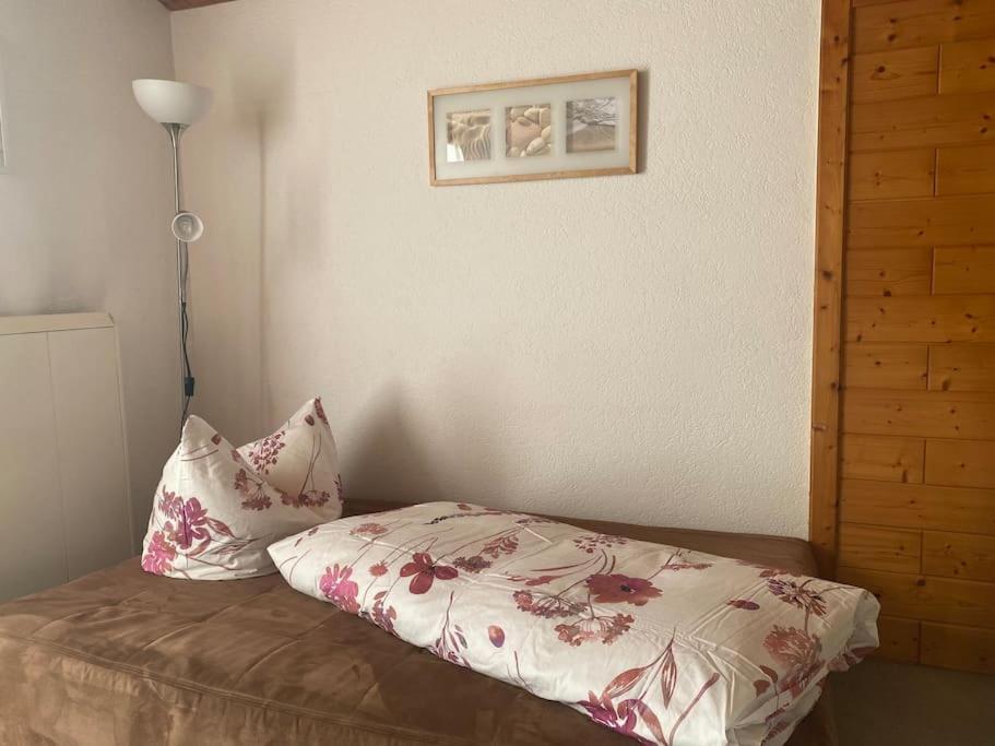 Panorama Wohnung Rungelin Bludenz 外观 照片