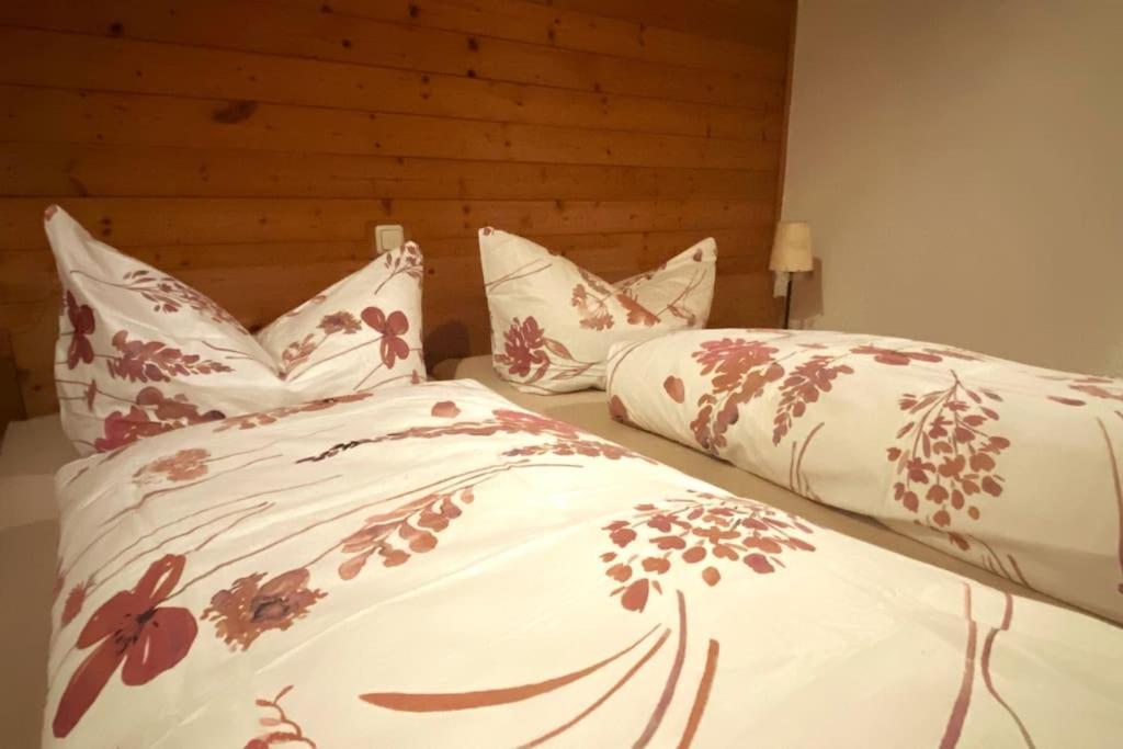Panorama Wohnung Rungelin Bludenz 外观 照片