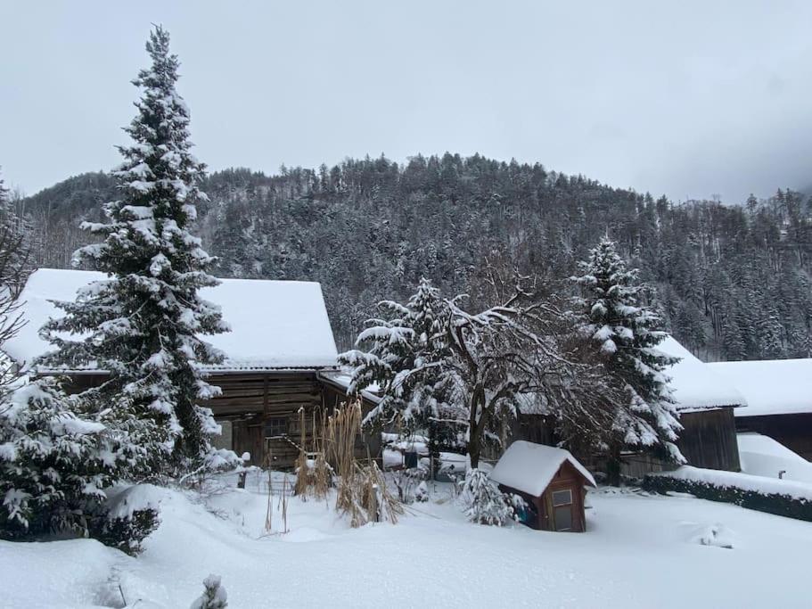 Panorama Wohnung Rungelin Bludenz 外观 照片