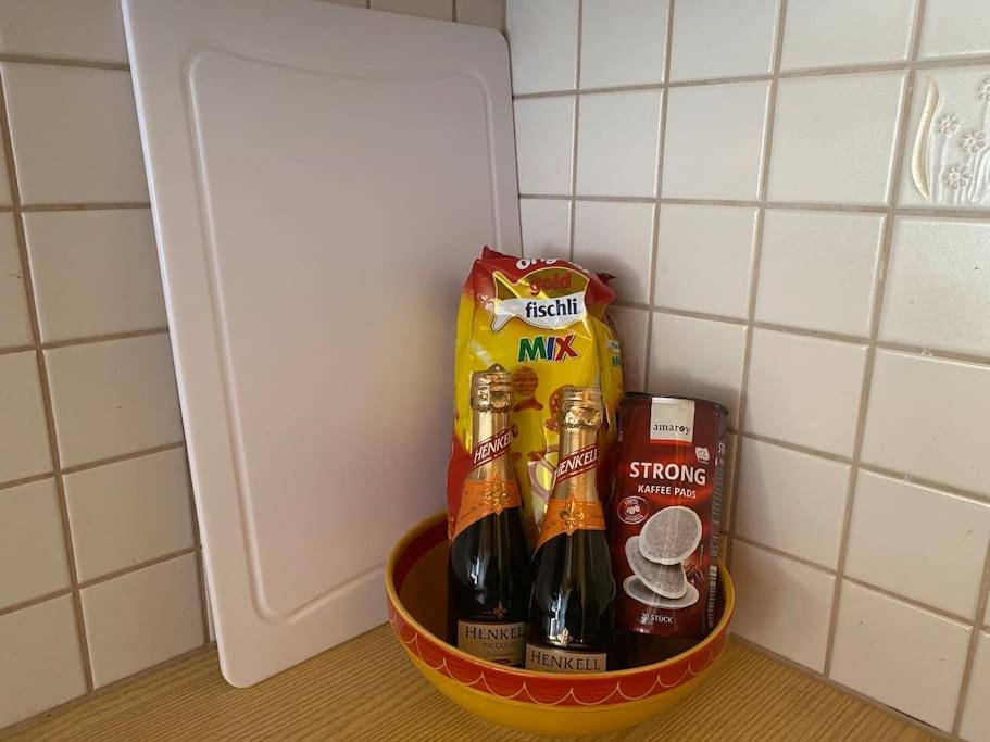 Panorama Wohnung Rungelin Bludenz 外观 照片